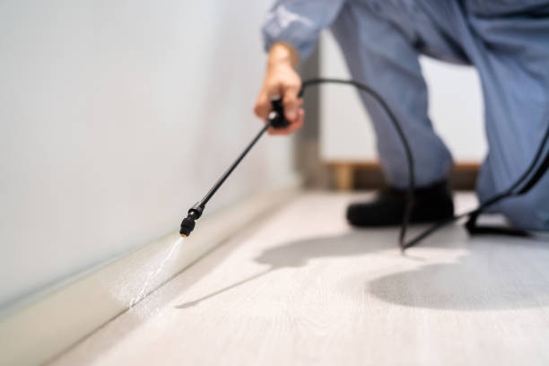 Licensed Termite Control service in Falmouth, VA - Nex Pest Control