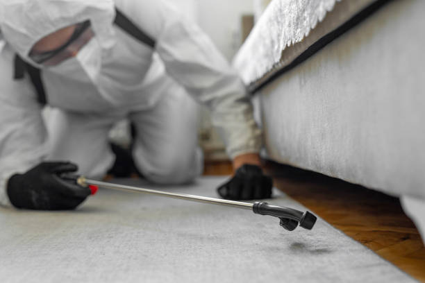 Professional Termite Control technician working in Falmouth, VA