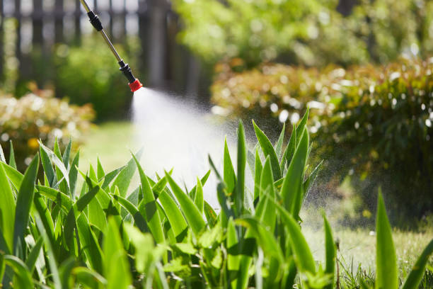 24/7 Emergency Termite Control experts in Falmouth, VA