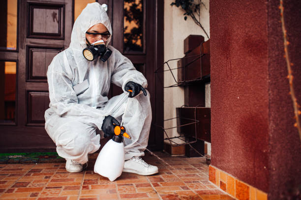 Reliable Termite Control contractor in Falmouth, VA by Nex Pest Control