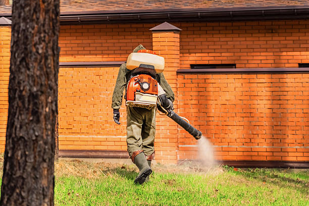 Trusted Mosquito Control service in Falmouth, VA - Nex Pest Control